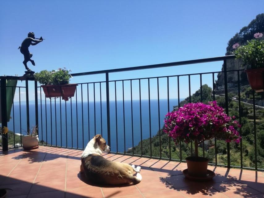 Domus Gaia Acomodação com café da manhã Amalfi Exterior foto
